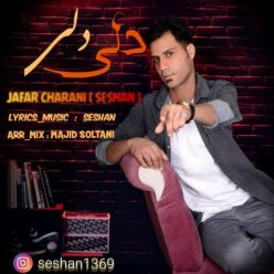 دانلود آهنگ جعفر چرانی دلی دلی با کیفیت 320